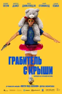 Грабитель с крыши