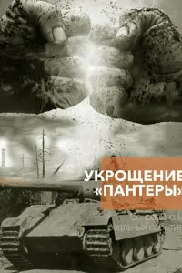 Укрощение «Пантеры»
